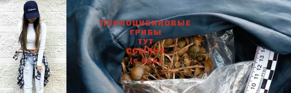 ГАЛЛЮЦИНОГЕННЫЕ ГРИБЫ Алзамай