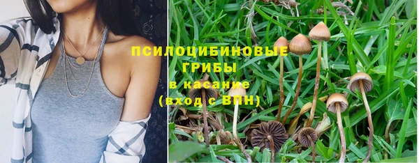 ГАЛЛЮЦИНОГЕННЫЕ ГРИБЫ Алзамай