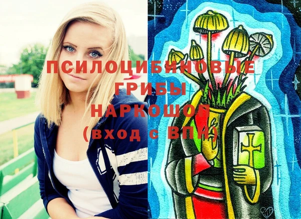мдпв Алексин