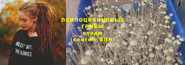 ГАЛЛЮЦИНОГЕННЫЕ ГРИБЫ Алзамай