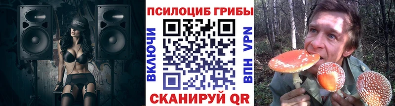 shop как зайти Алзамай Галлюциногенные грибы мицелий купить наркотики сайты